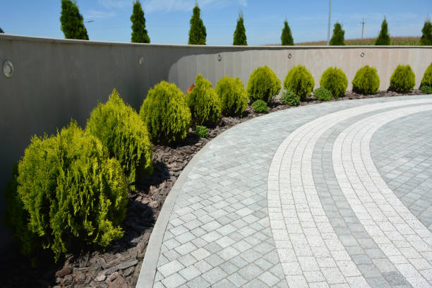 Professional Driveway Pavers in Kendall, FL